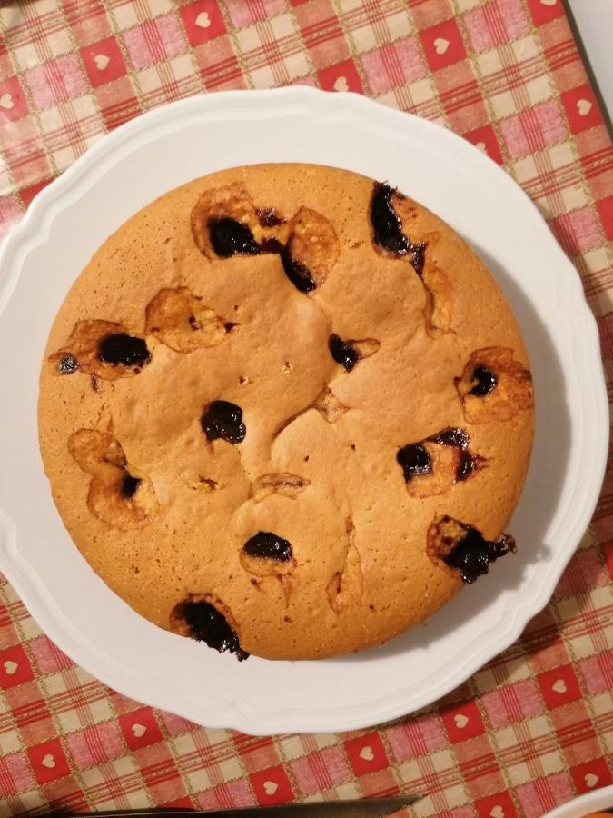 فندق Italaforesteria Lavone المظهر الخارجي الصورة